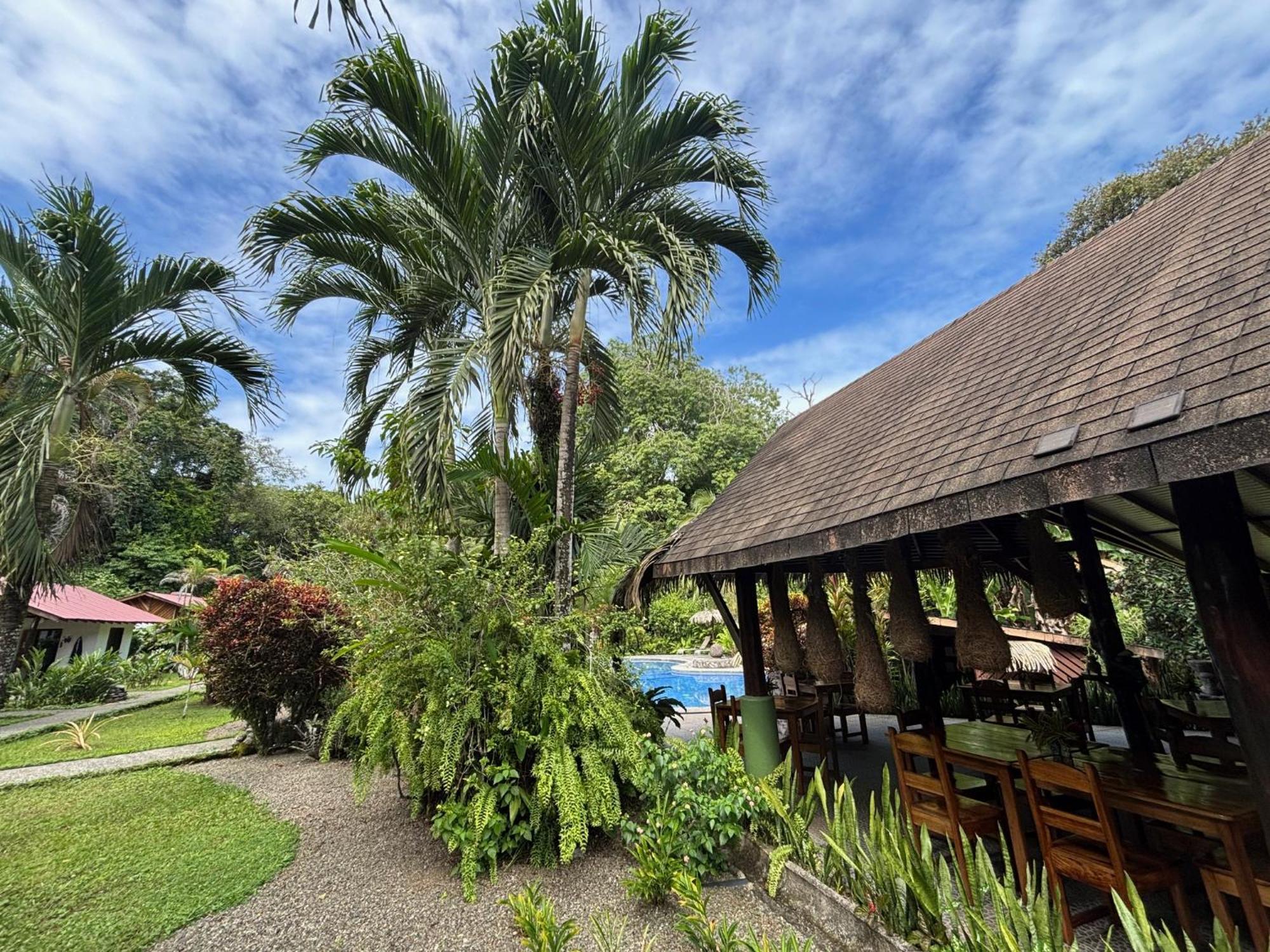 Hotel Suizo Loco Lodge & Resort Cahuita Extérieur photo