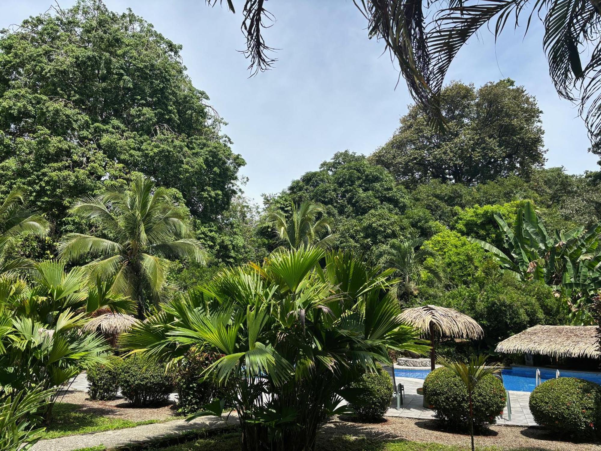 Hotel Suizo Loco Lodge & Resort Cahuita Extérieur photo