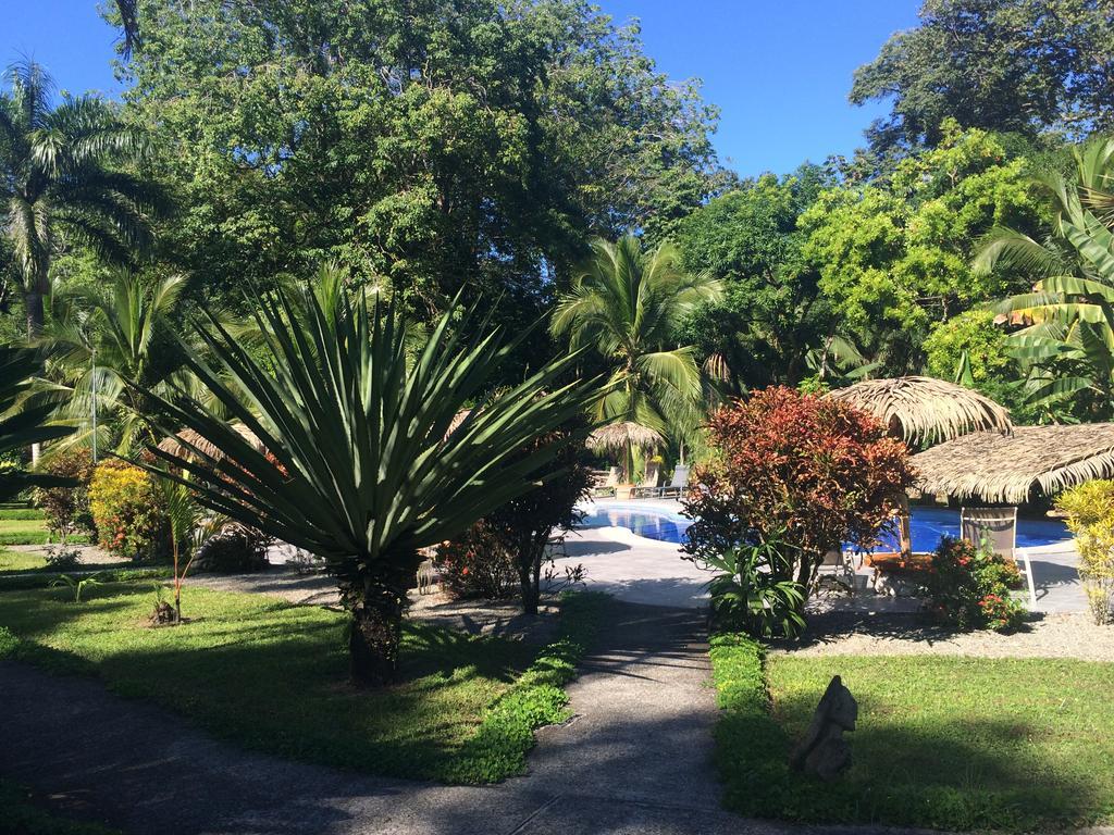Hotel Suizo Loco Lodge & Resort Cahuita Chambre photo